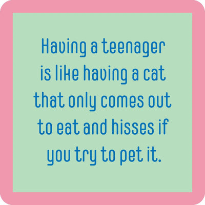 Teenager Cat Coaster